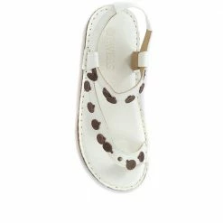 Pavers Sandals Embellished Leather Toe-Post Sandal - CAY29005 / 315 112