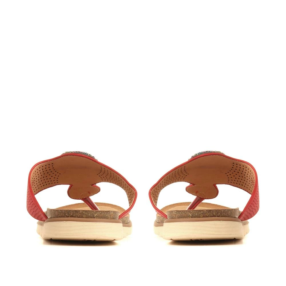 Bellissimo Embellished Toe-Post Sandals - BELBAIZH35045 / 321 599 11 Bellissimo Embellished Toe-Post Sandals - BELBAIZH35045 / 321 599