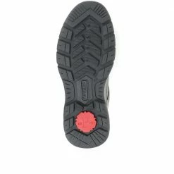 Pavers Sports Casual Trainer Shoe - WBINS34253 / 321 352 Shoes 19 Pavers Sports Casual Trainer Shoe - WBINS34253 / 321 352 Shoes